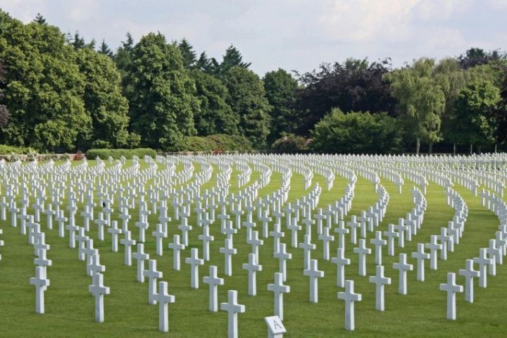 Rows of white crosses in a cemetery with trees in the background.