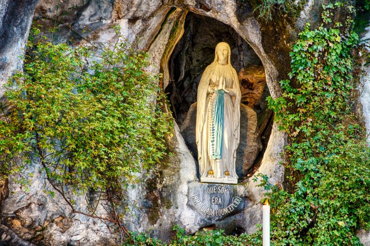 Statue of Virgin Mary in a rocky grotto, surrounded by green vines and foliage.