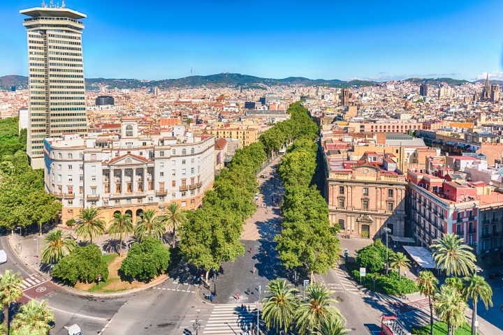 Aerial view of a tree-lined street with historic buildings and a tall tower in a cityscape.