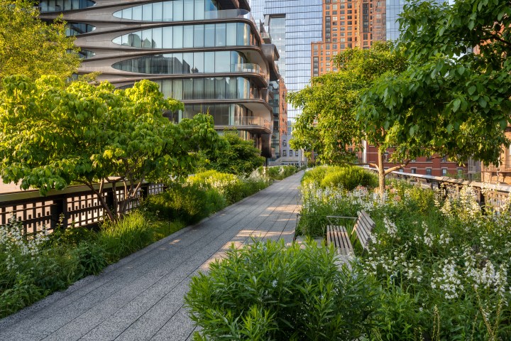 Urban park path with lush greenery and modern buildings in the background.