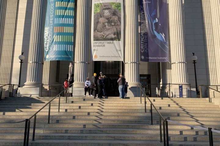 People on steps of a large building with museums banners and columns.