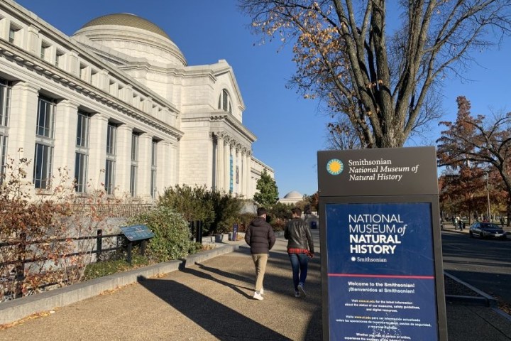 People walking towards Smithsonian Museum of Natural History on a sunny day.