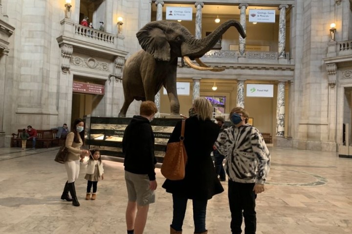 People in a museum atrium observing a large elephant statue.