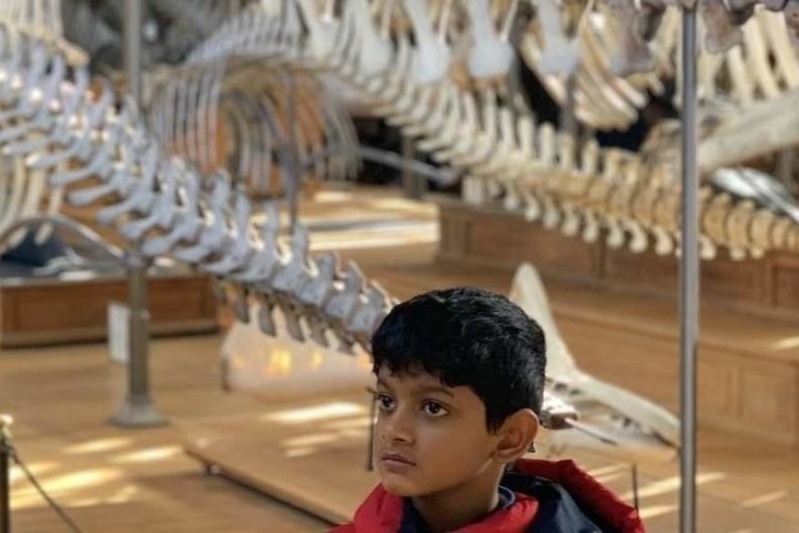 Child looking at a large dinosaur skeleton in a museum exhibit.