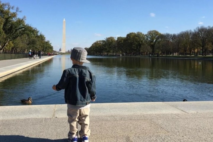 Child in denim jacket looks at ducks by a reflecting pool with the Washington Monument in the distance.