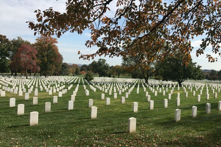 A cemetery with rows of white headstones on green grass, autumn trees in the background.