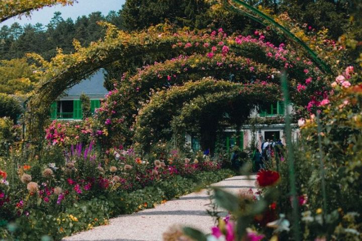Pathway through garden with flower arches and blooming plants on a sunny day.